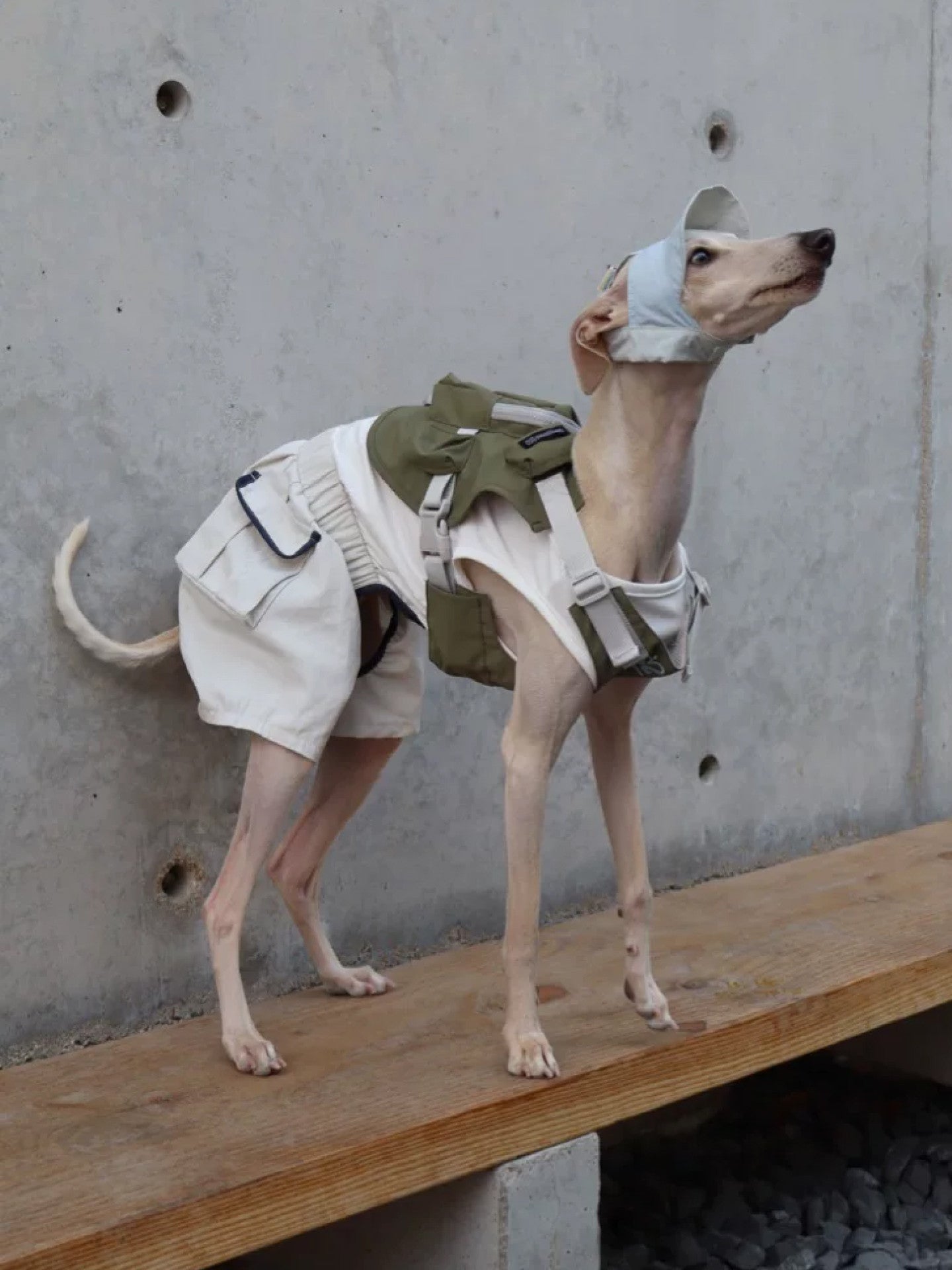 Utility Jumpsuit Dog Romper