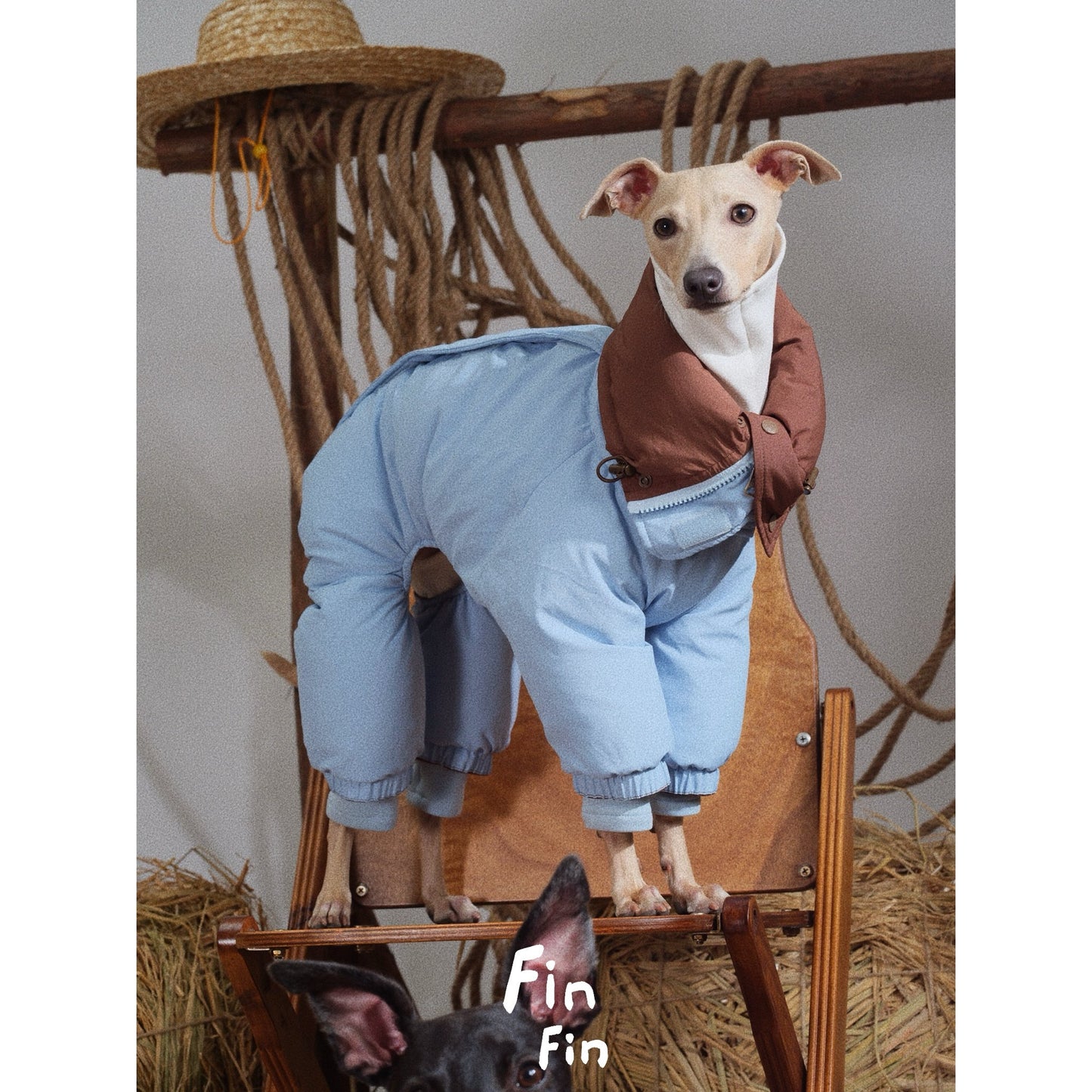 FinFin Reversible Pet Down Jacket