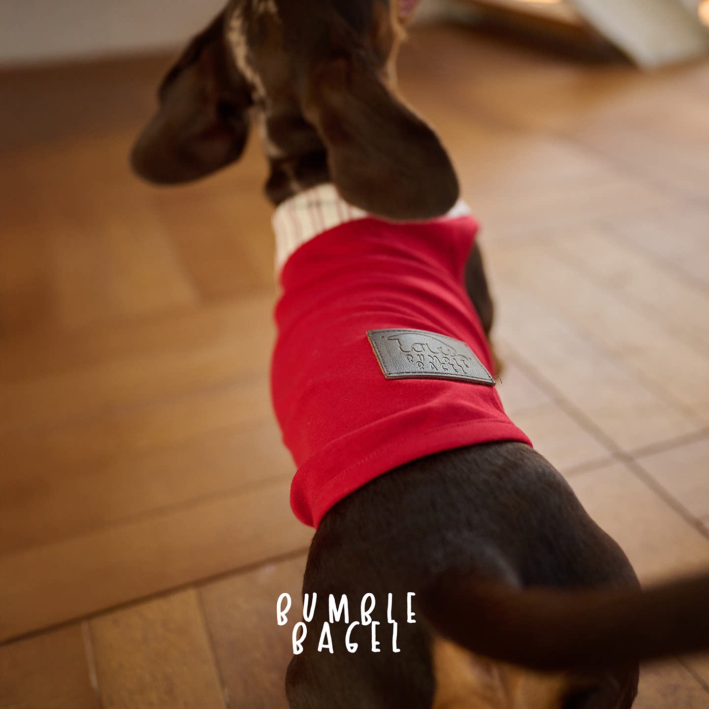 Bumble Bagel Kent Raspberry Striped Collar Dog Shirt
