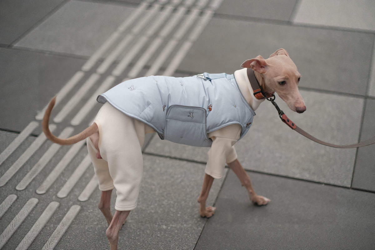 Dog Down Vest & Scarf, Sold Separately
