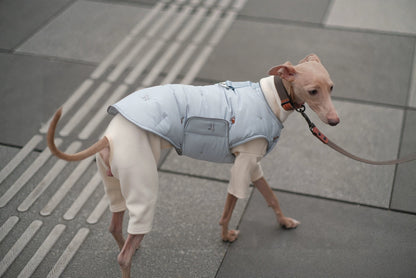 Dog Down Vest & Scarf, Sold Separately