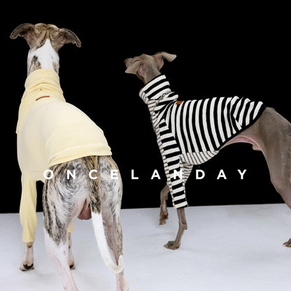 Anti-Static Fleece Dog Shirt & Neck Warmer