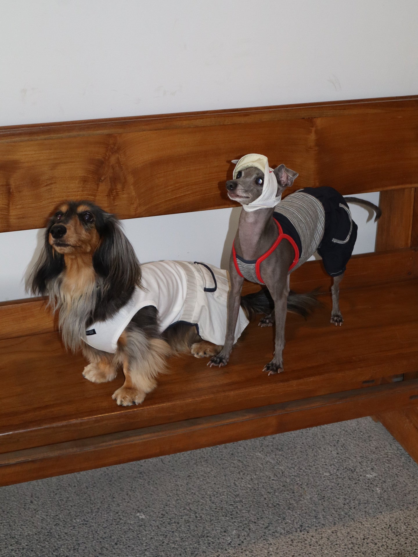 Dog Romper Outfit