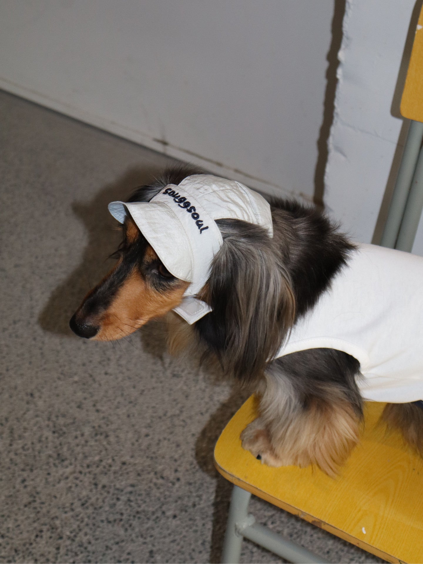 Reversible Embroidered Pet Hat