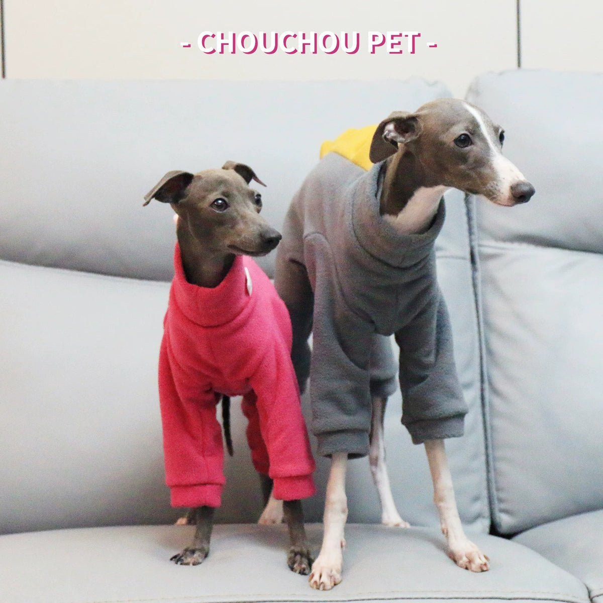 Dinosaur Fleece 4-Leg Dog Jumpsuit