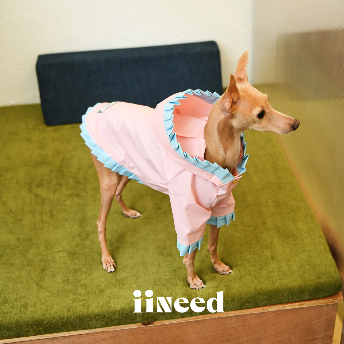 Color Block Dog Windbreaker