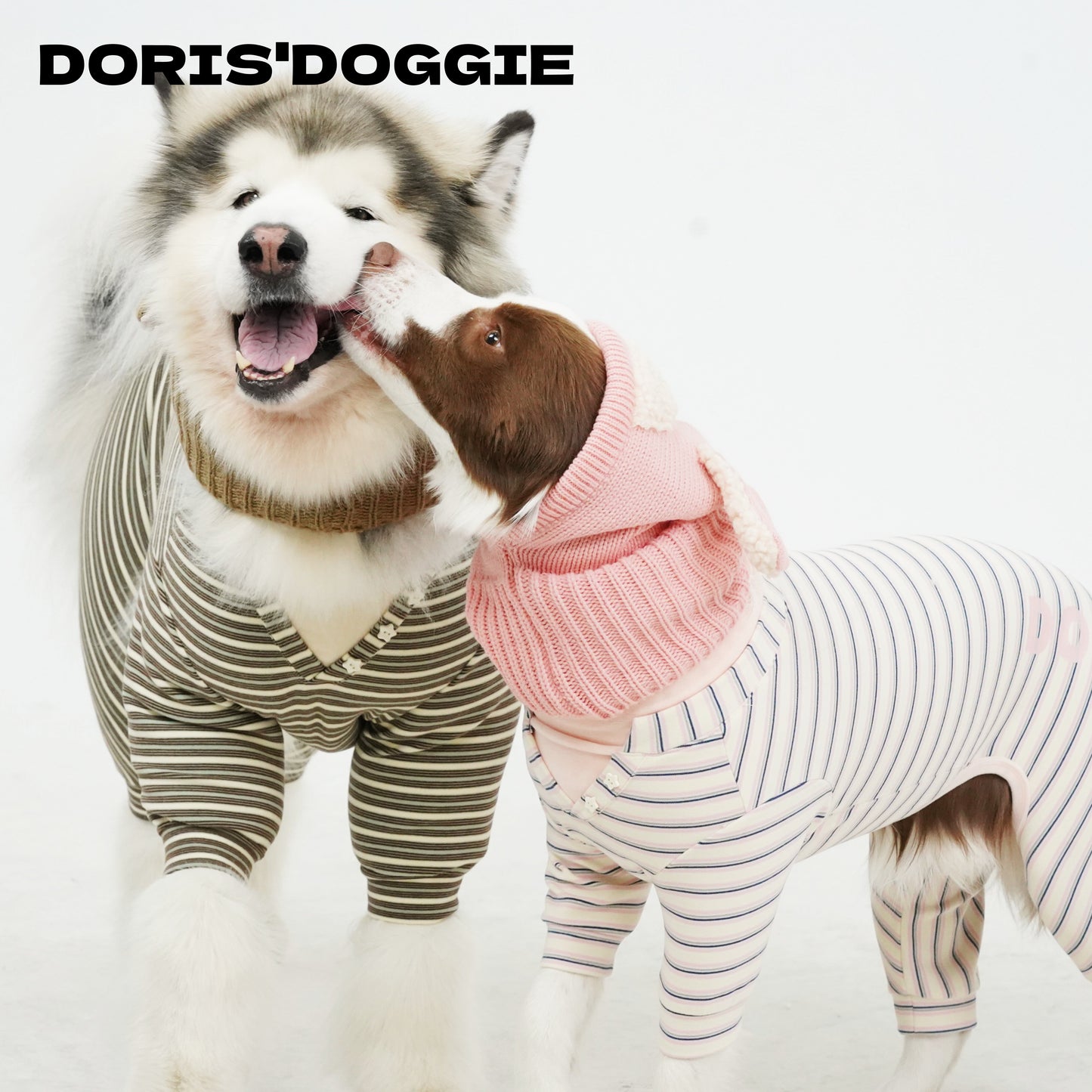 Warm Winter Dog Jumpsuit & Hat