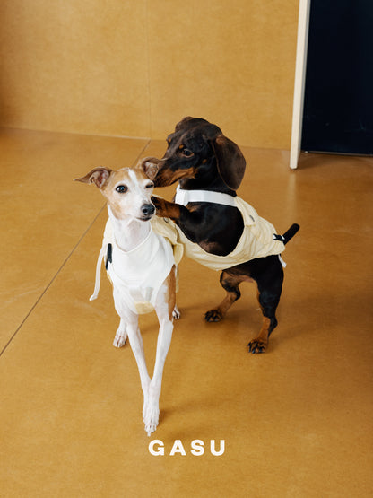 Lightweight Convertible Dog Overalls
