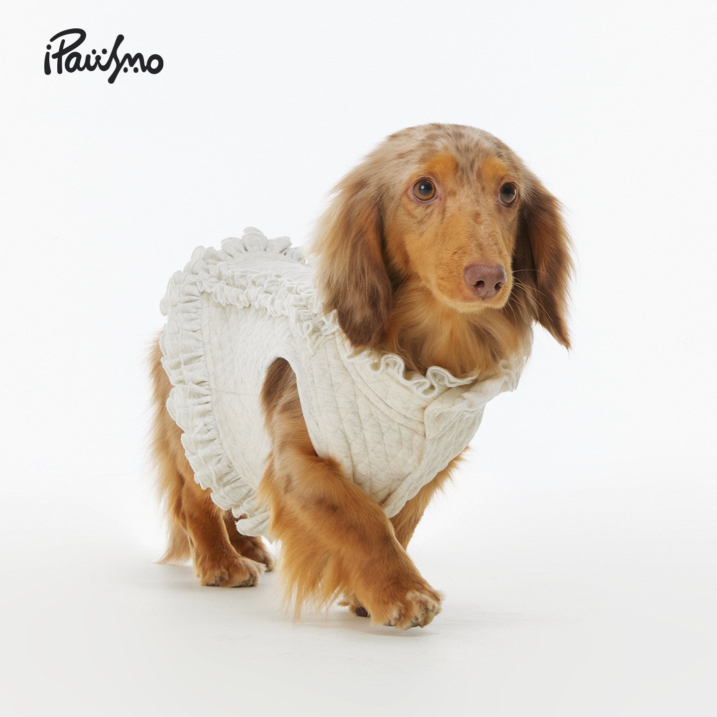 iPawsmo Diamond Quilted Puffer Vest for Dachshunds