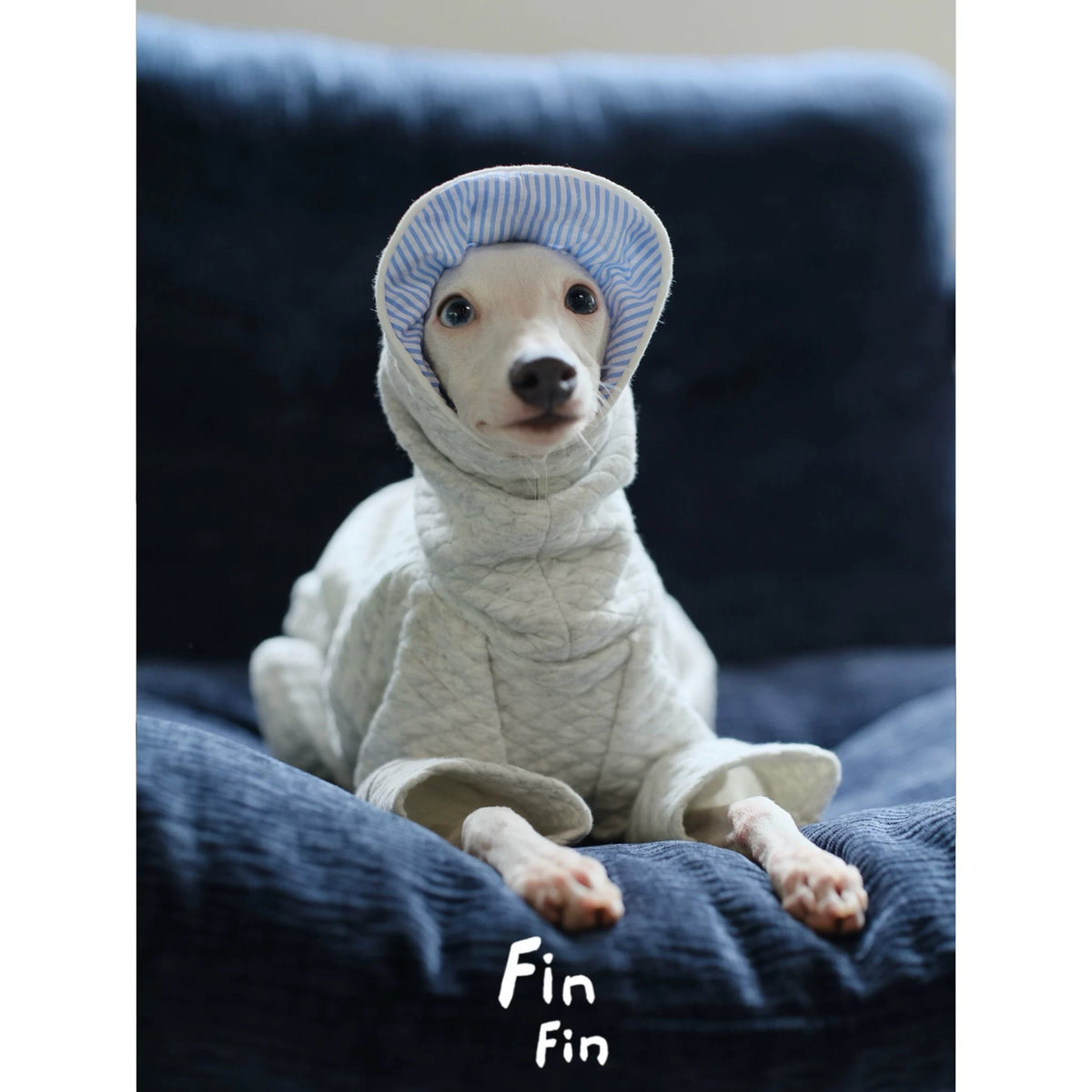 Autumn Dog Hooded Striped Spliced Sweatshirt