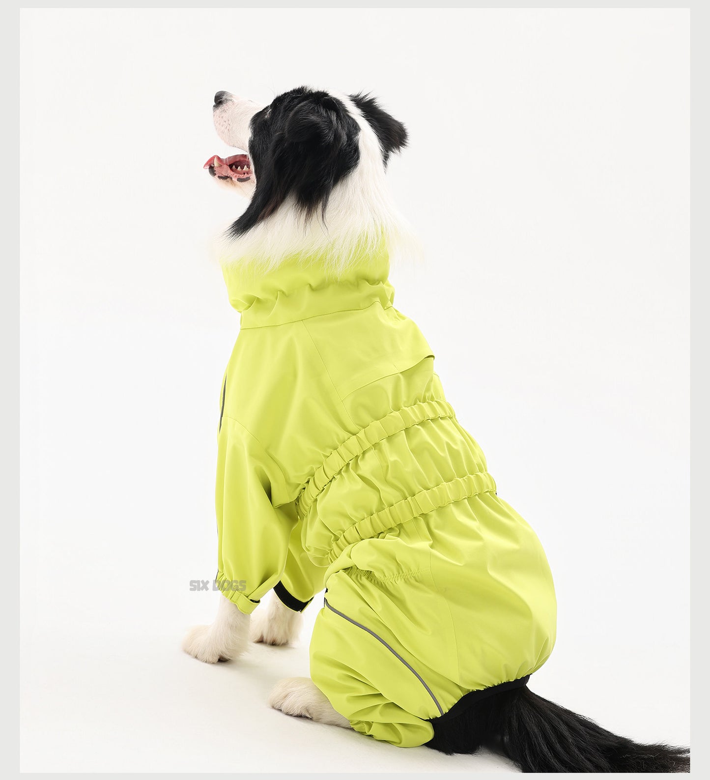 Waterproof Dog Raincoat Jumpsuit