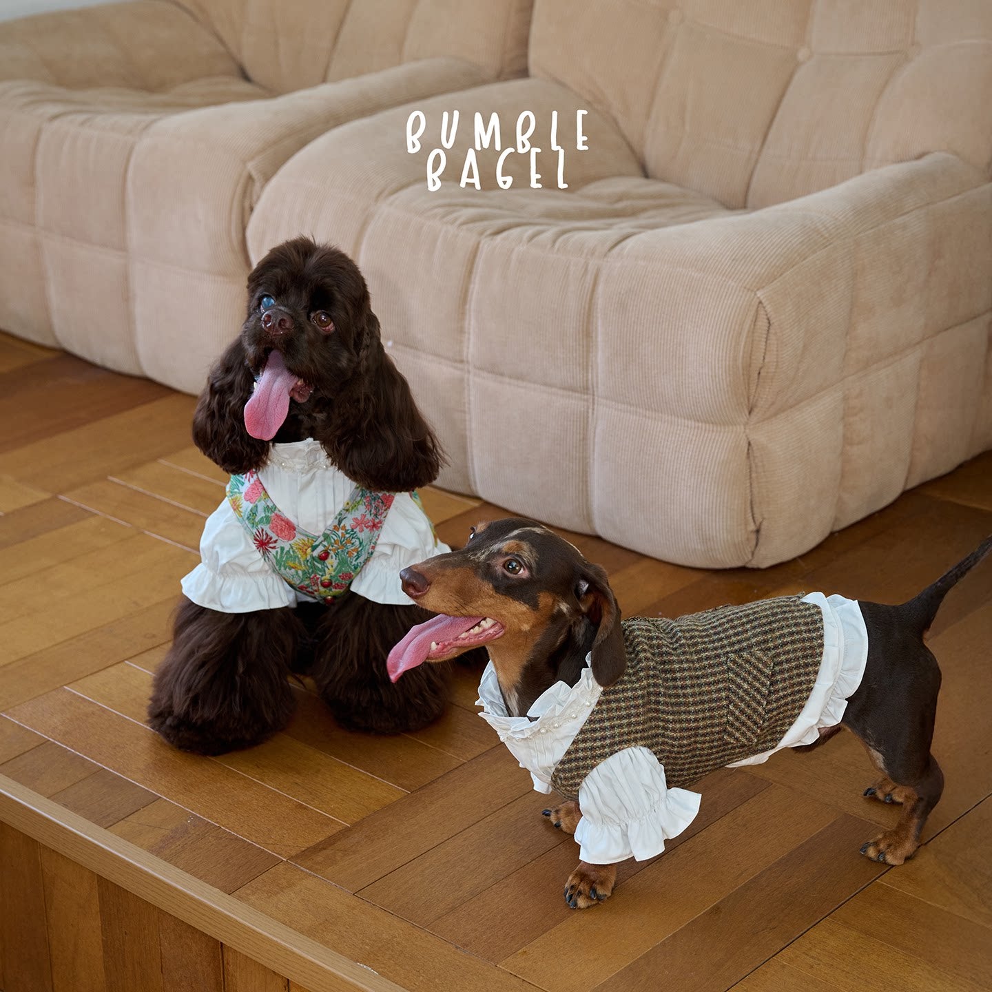 BumbleBagel Harry Estate Fall Wool Dog Vests