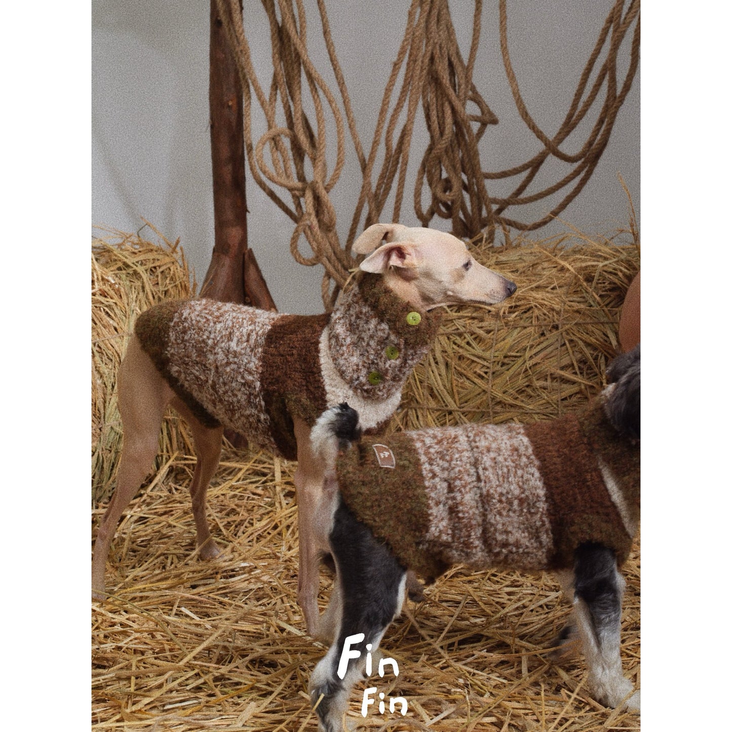 Whippet Dachshund Wool Blend Vest