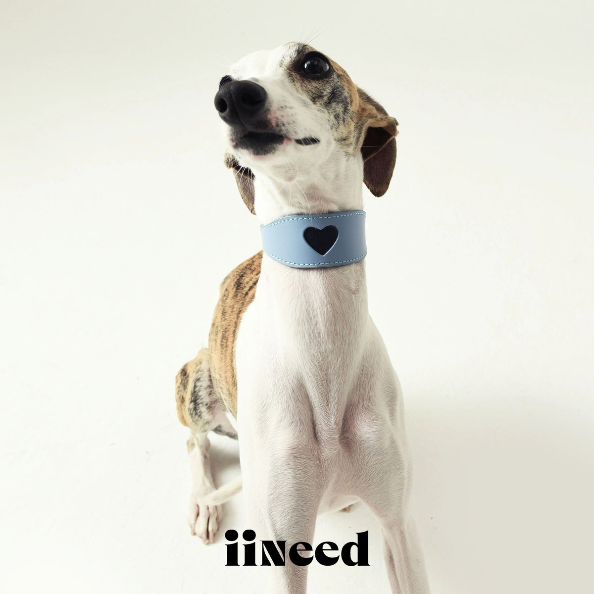 Genuine Leather Dog Collar