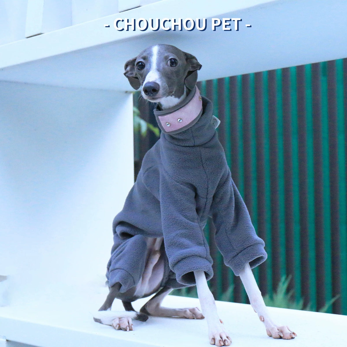 Dinosaur Fleece 4-Leg Dog Jumpsuit