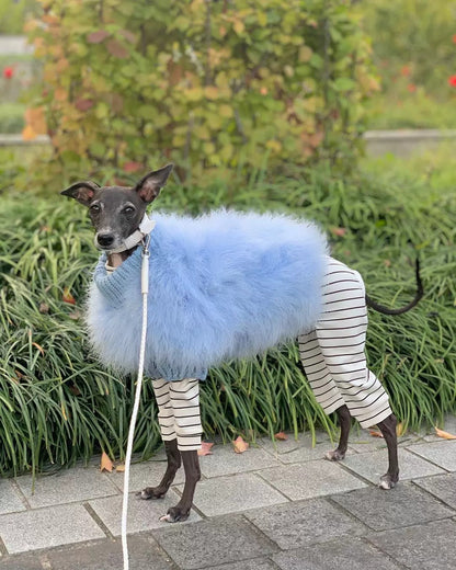 Luxury Feather Knit Sweater for Italian Greyhound & Whippet
