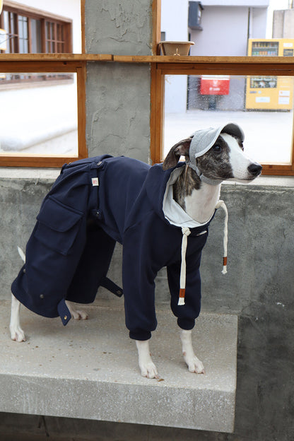 Detachable Dog Hoodie and Pants Set