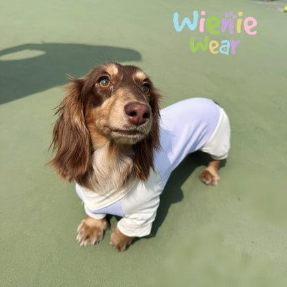 UPF50+ Cooling Dog Jumpsuit