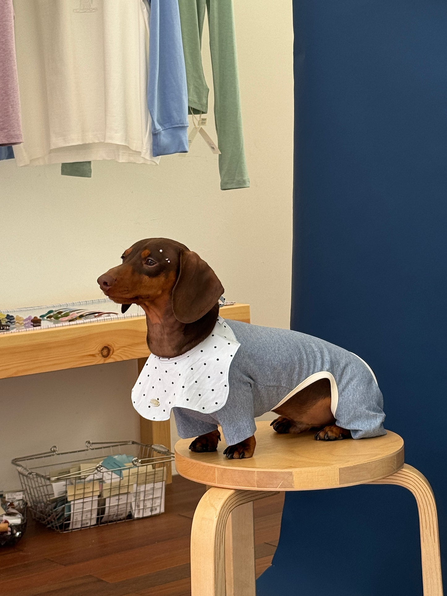 POXFFEE Polka Dot Dog Bandana