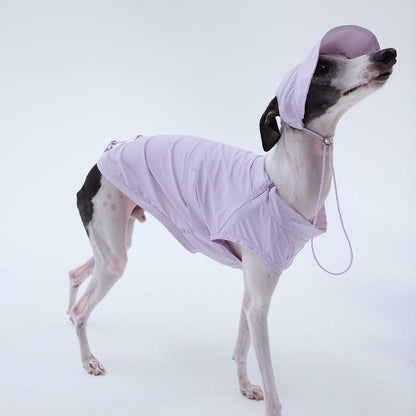 UPF 50+ Cooling Dog Vest Matching Set