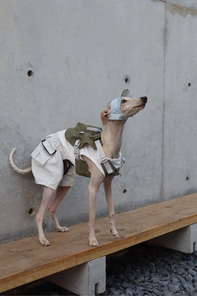 Utility Jumpsuit Dog Romper