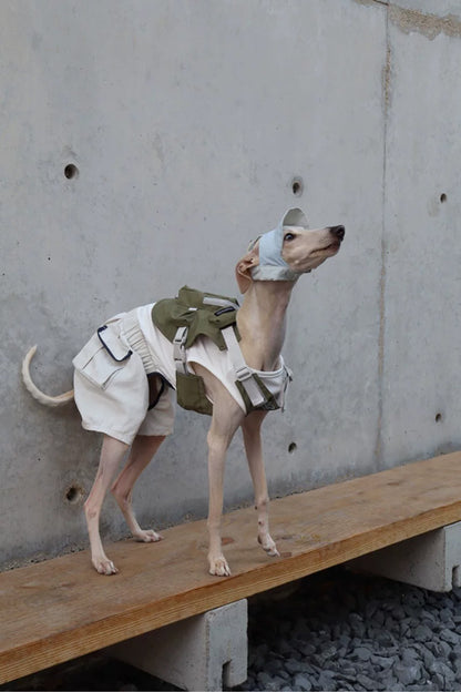 Utility Jumpsuit Dog Romper