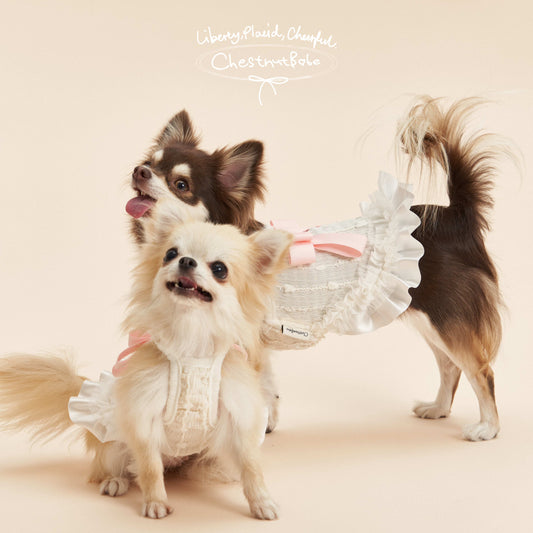 ChestnutBabe ButterSea Bow Strap Dress