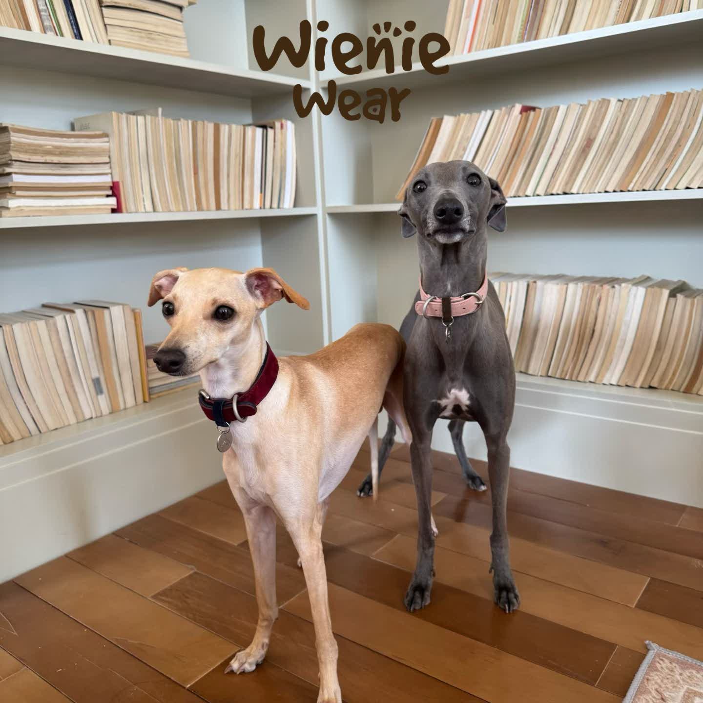 wienie wear Vintage Suede Leather Collar