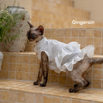 GINGERAIN French Ruffle Shirt Dress for Cats