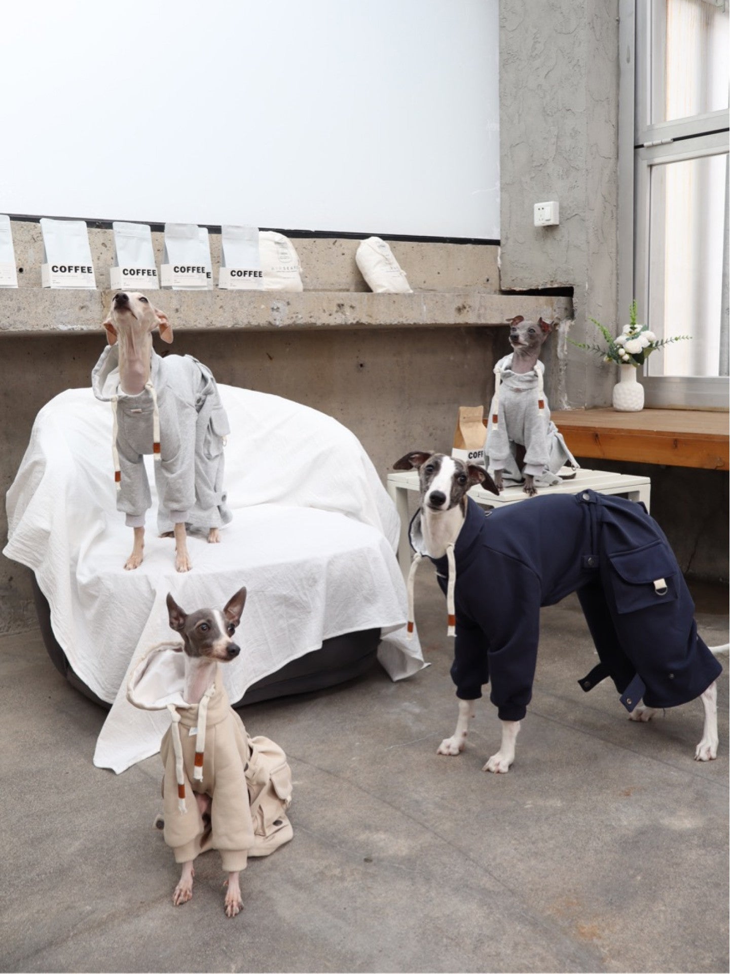 Detachable Dog Hoodie and Pants Set