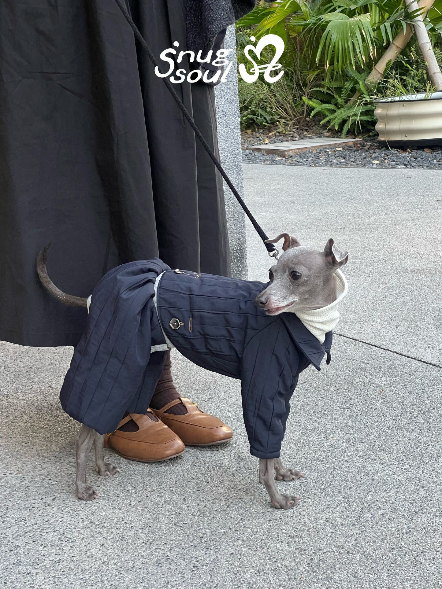 Detachable Quilted Dog Jacket and Pants Set