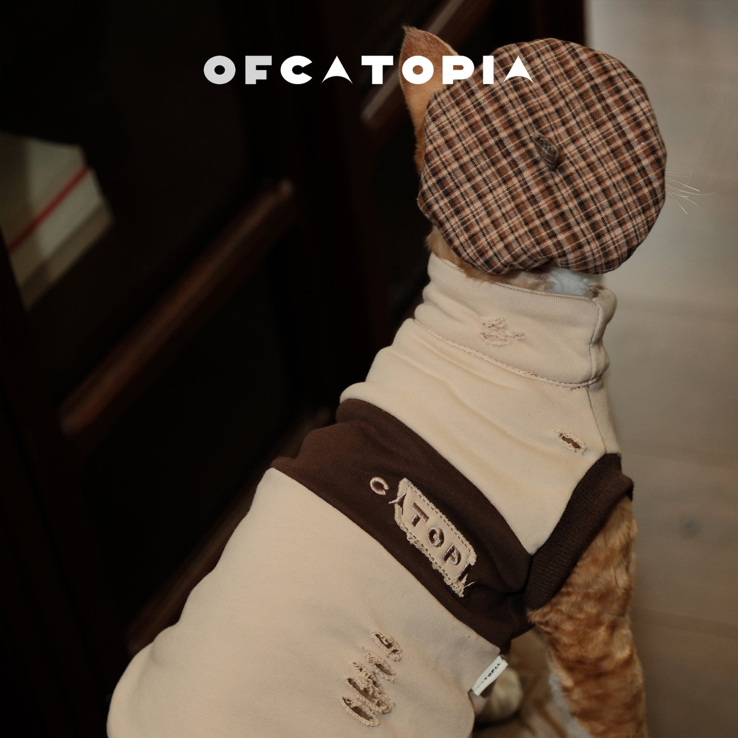 OfCatopia Destroyed Sleeveless Vest for Pets