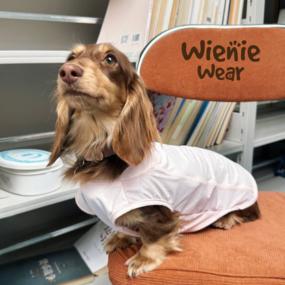 UPF50+ Cooling Dog Vest