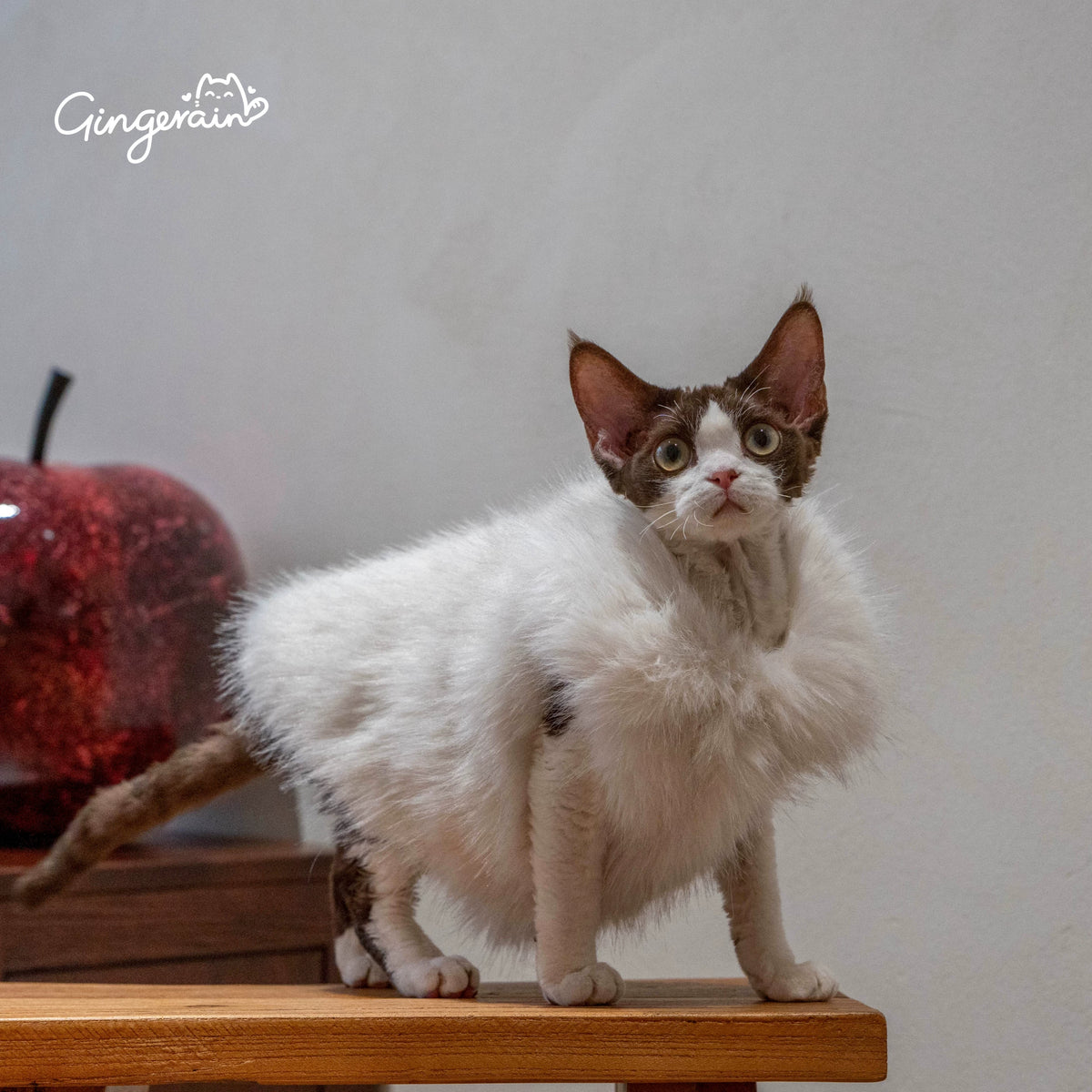 Faux Fur Cat Winter Vest Coat