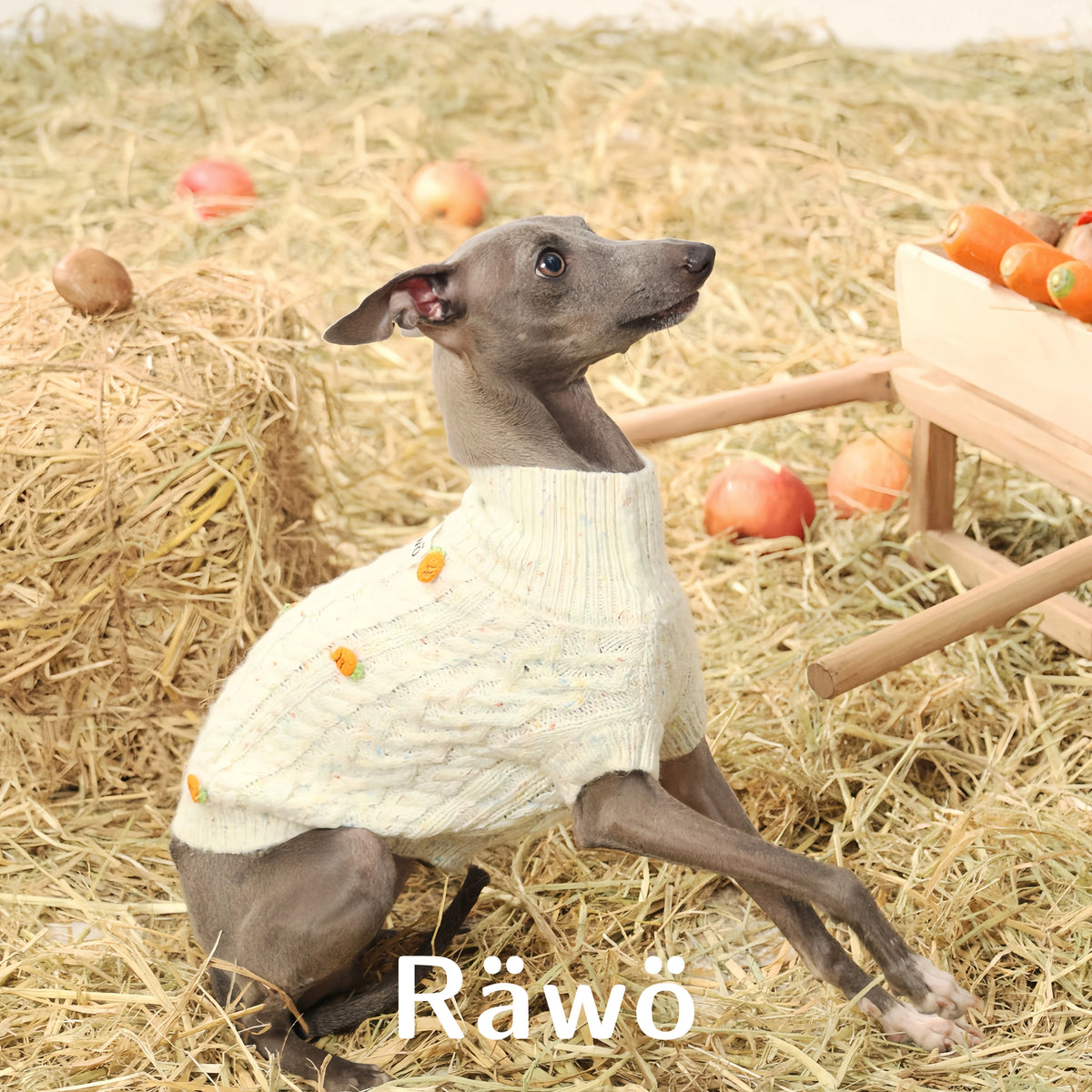 Handmade Wool Dog Sweaters Vest for Christmas New Year