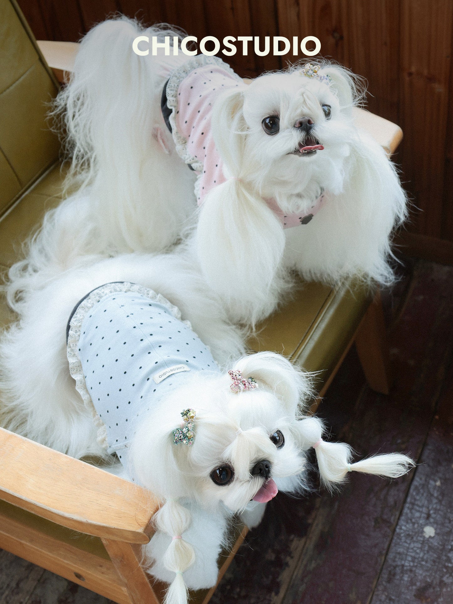 Polka Dot Ruffle Cotton Dog Tank Top