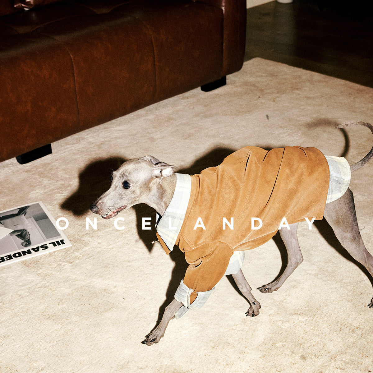 ONCELANDAY Fall Suede Denim Jacket for Whippets