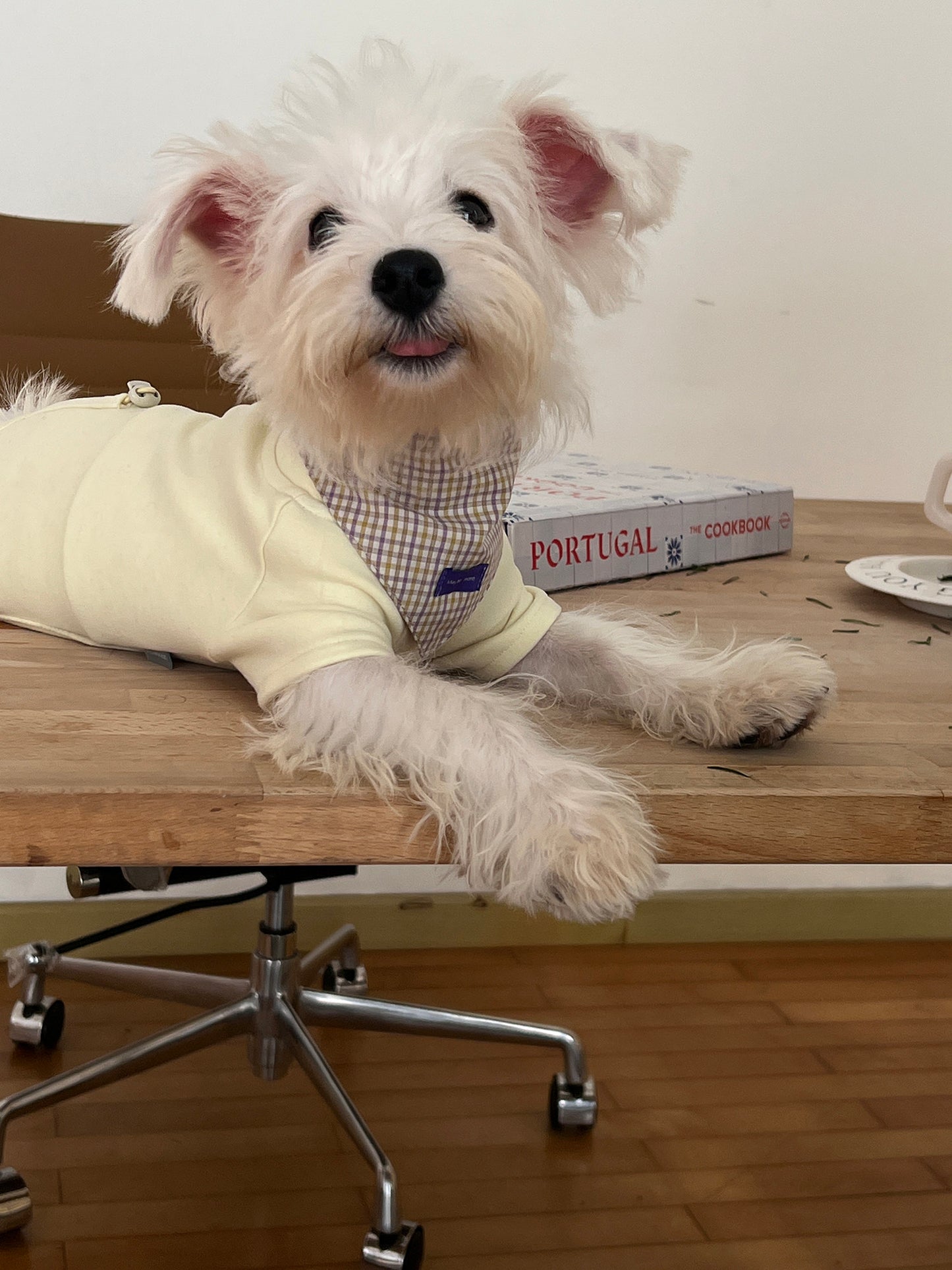 POXFFEE Custom Puppy Drool Bib