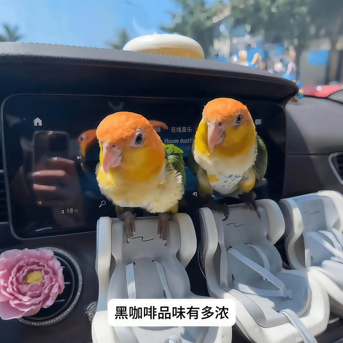 Parrot Car Seat Travel Perch