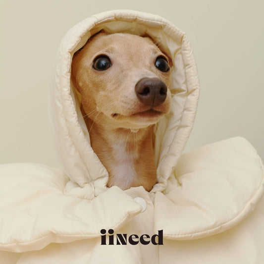 White Padded Pet Hat for Dogs Cats