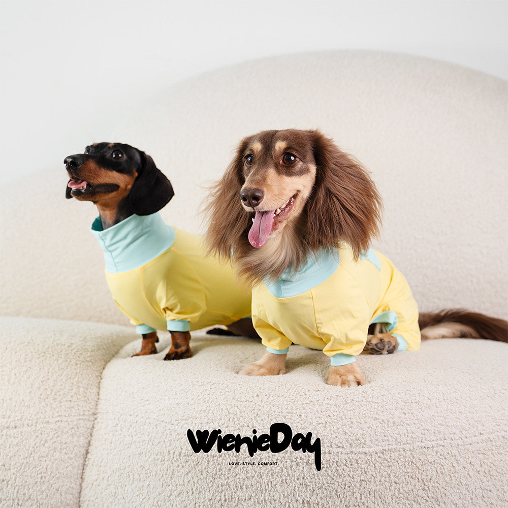 Wienieday Ice-Cool Four-Leg Sunsuit for Dachshunds
