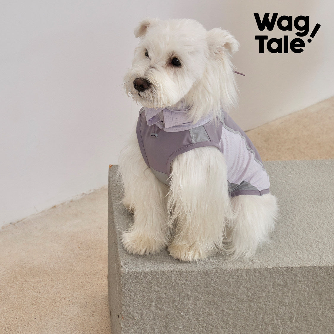 WagTale Cooling Dog Shirt