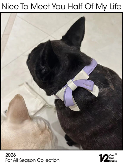 Black dog with a lavender bow collar