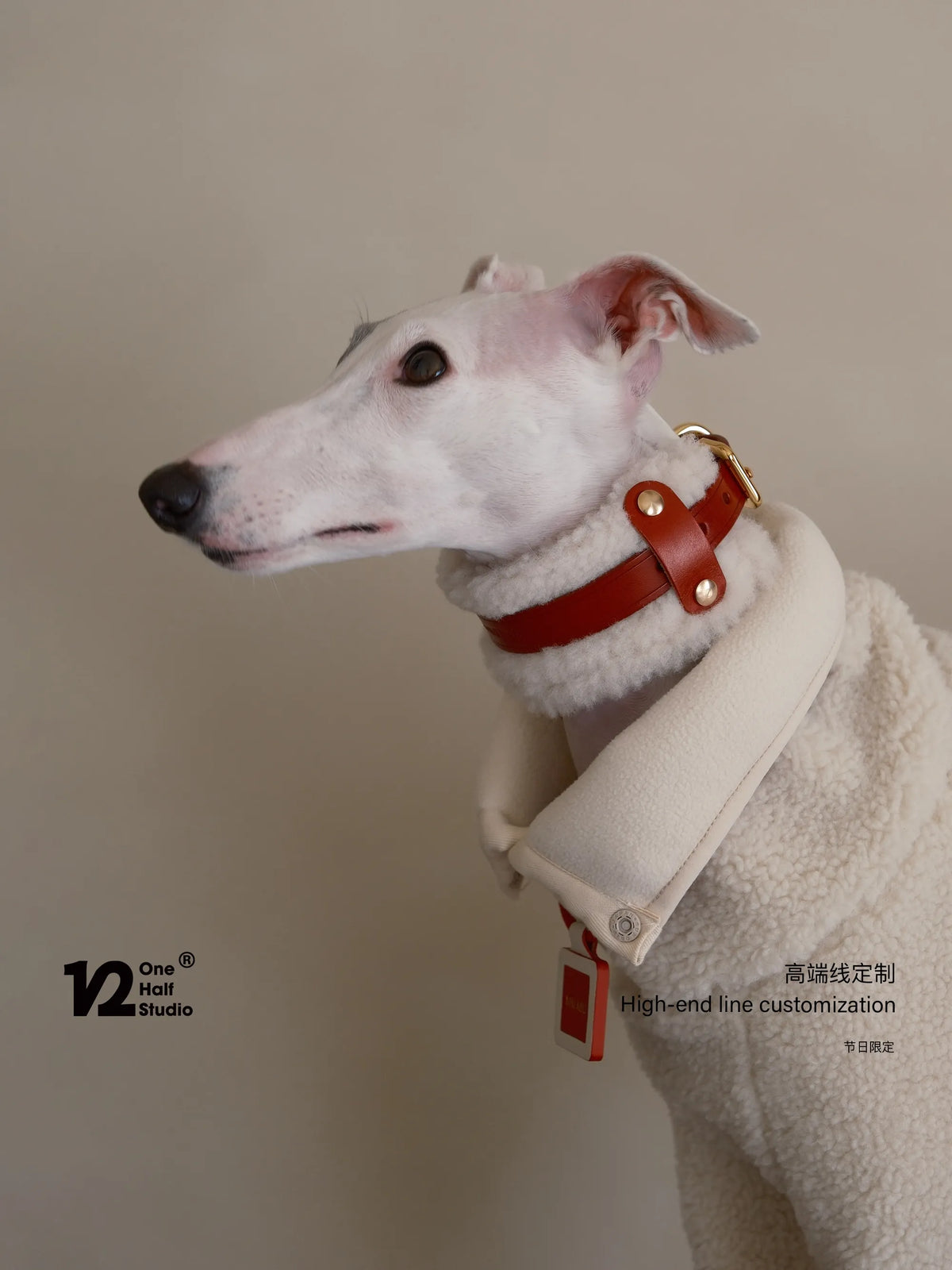Whippet with a red collar standing on a wooden stool