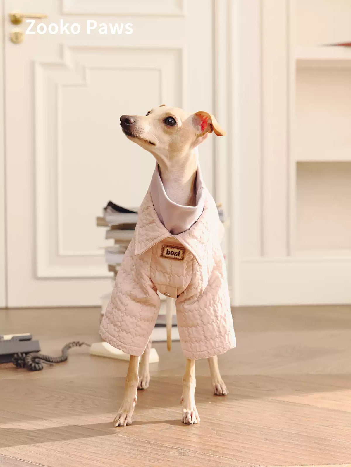 Biscuit texture dog jacket photo 4