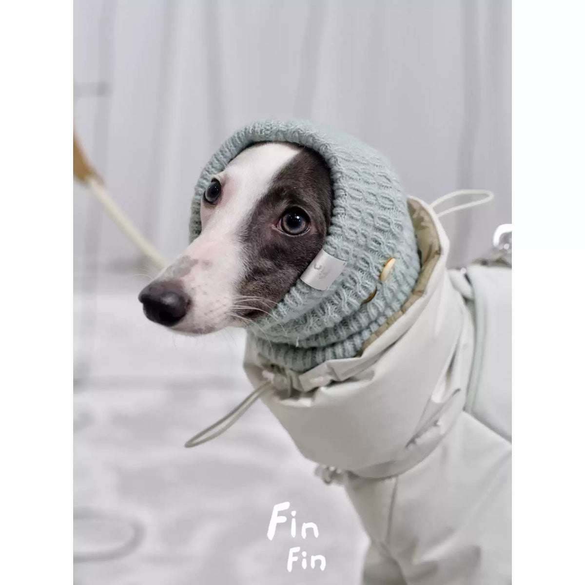 Knit Hood Snood for Dogs photo 4