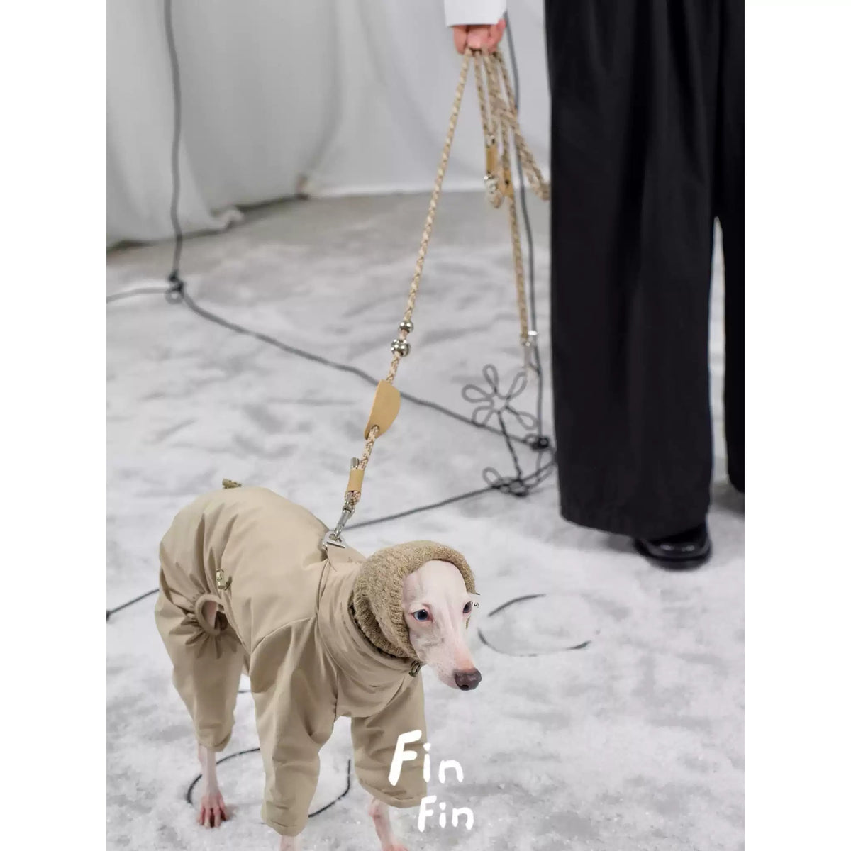 Braided Rope Dog Leash photo 4