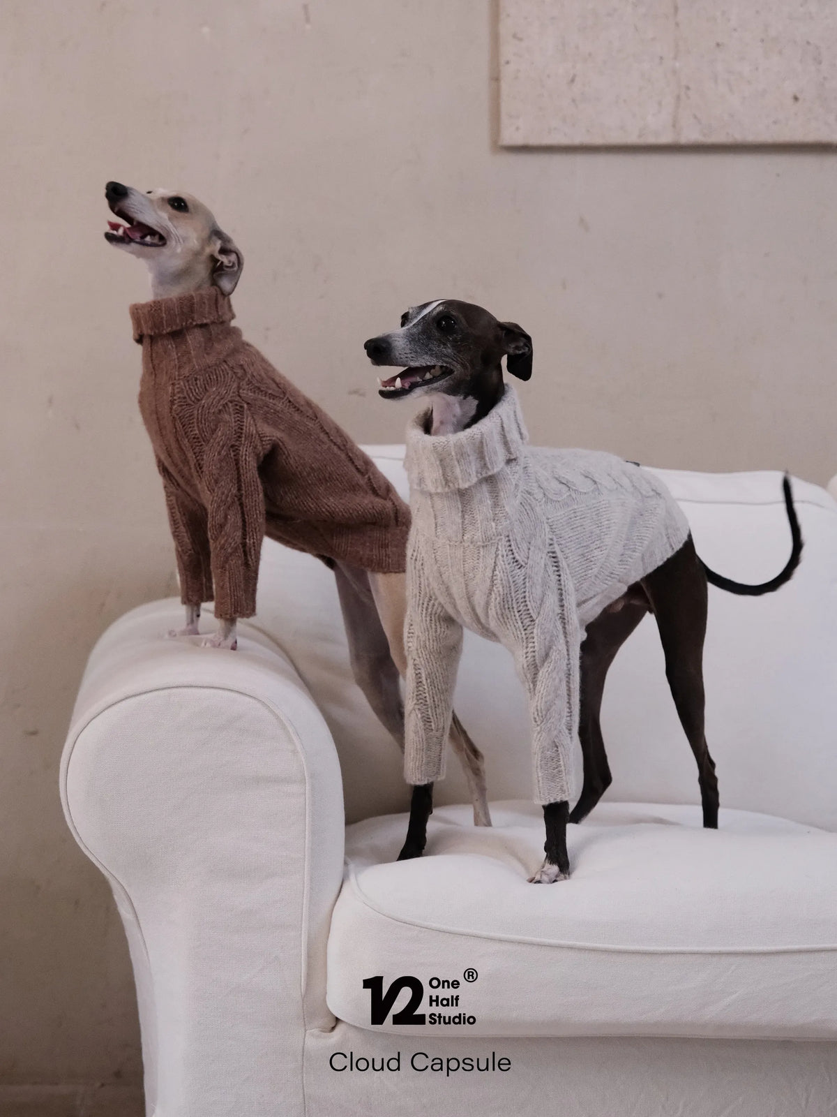 Two whippets in brown and cream cable knit sweaters