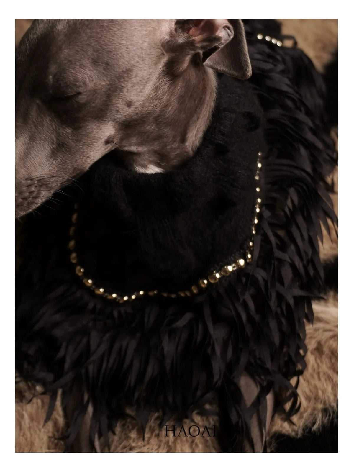 Black Mohair Look Open Knit Dog Onesie view 4