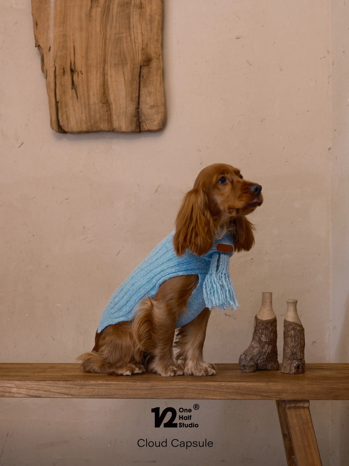 Dog in a blue sleeveless cable knit sweater at a cafe table